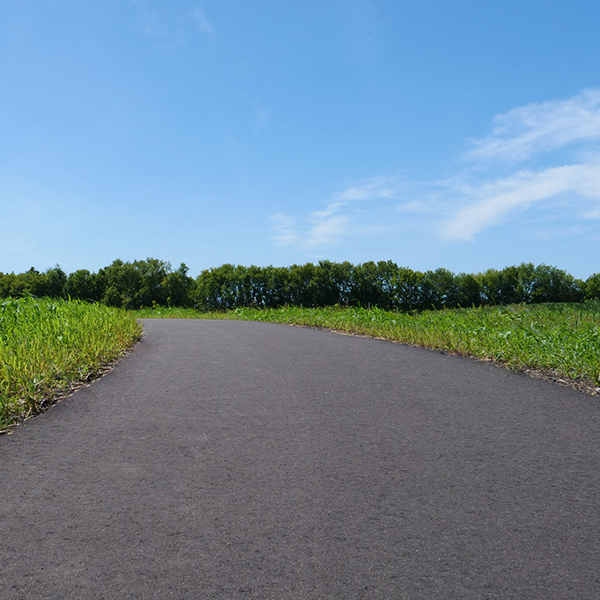 walking path